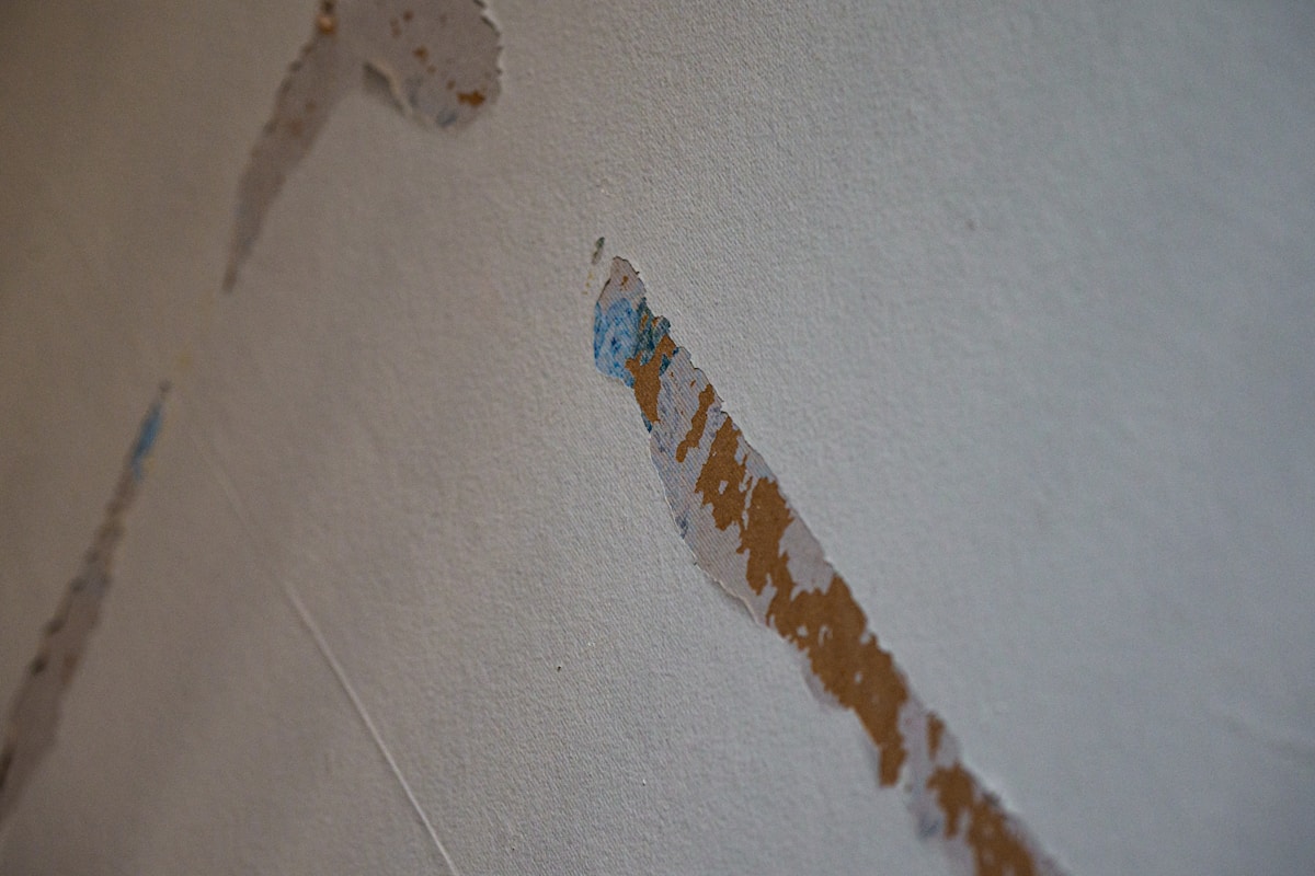 Storm Damage Repair service in Erie, PA